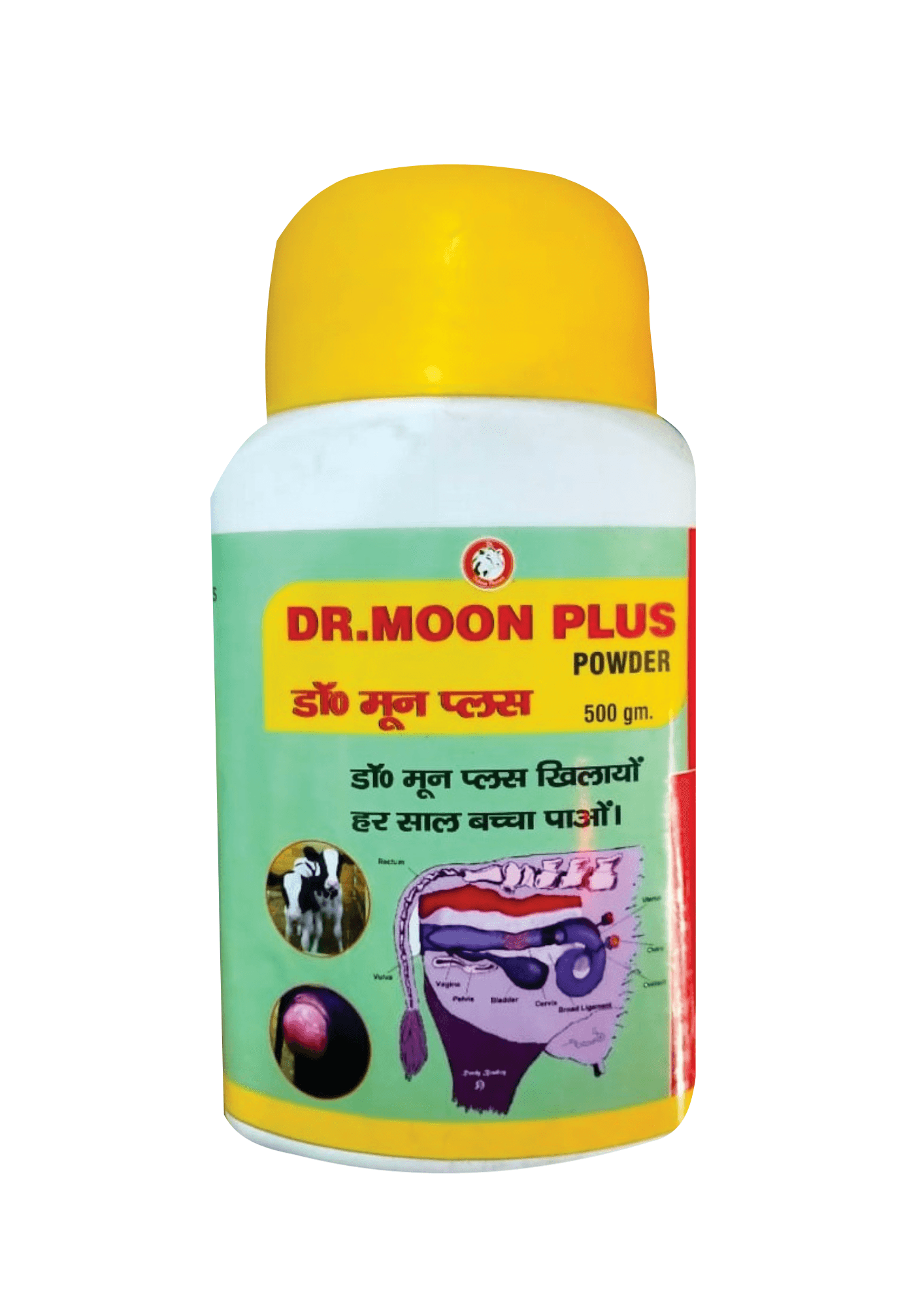 Dr. Moon Plus